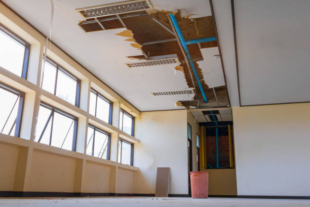 Best Local water damage restoration  in Bonne Terre, MO