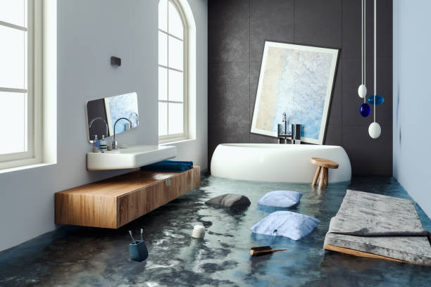 Best Flood damage cleanup  in Bonne Terre, MO