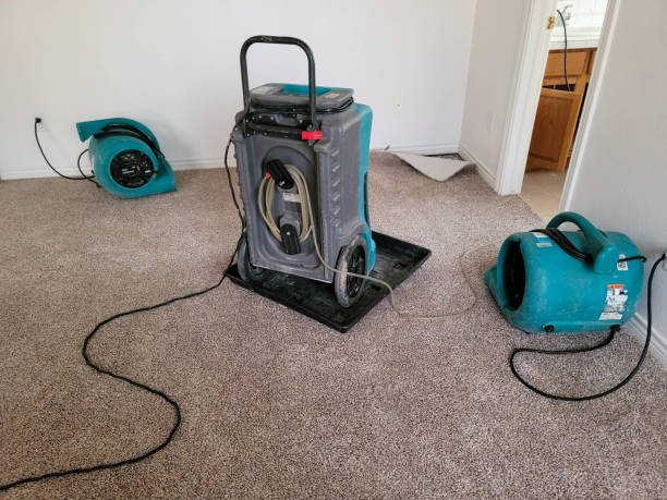 Best Flooded house restoration  in Bonne Terre, MO