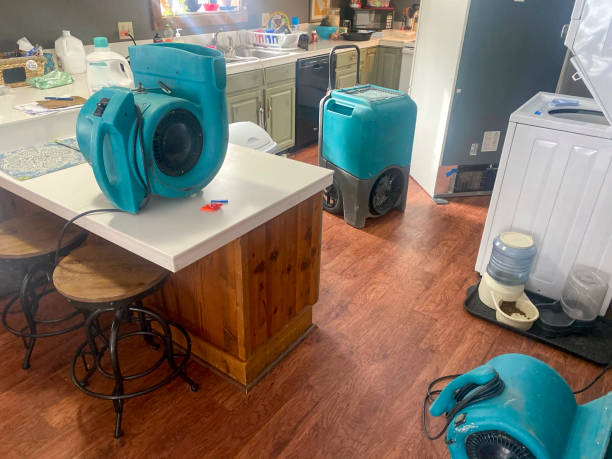  Bonne Terre, MO Water damage restoration Pros