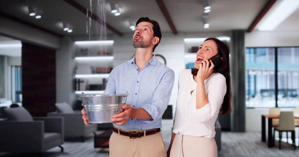 Best Flooded house restoration  in Bonne Terre, MO