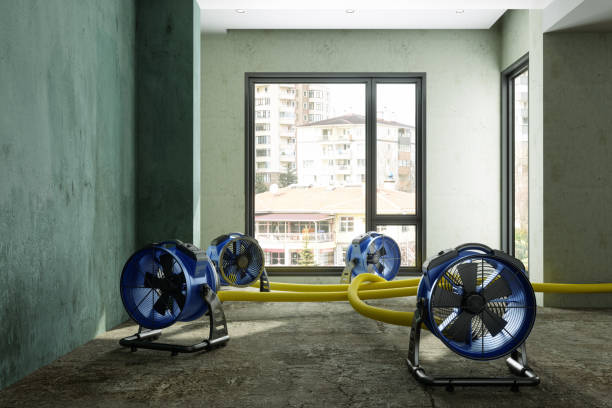 Best Water damage restoration near me  in Bonne Terre, MO