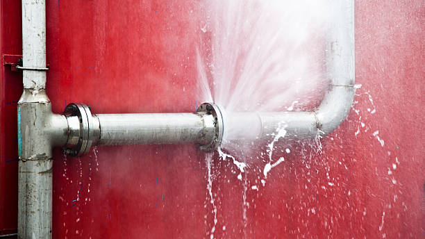Best Sewage cleanup and water damage restoration  in Bonne Terre, MO