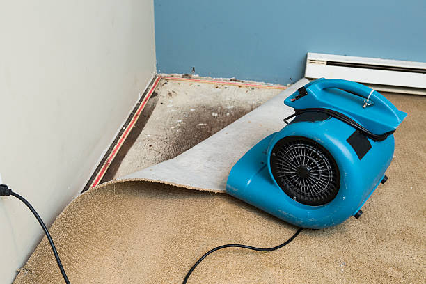 Best Commercial water damage restoration  in Bonne Terre, MO